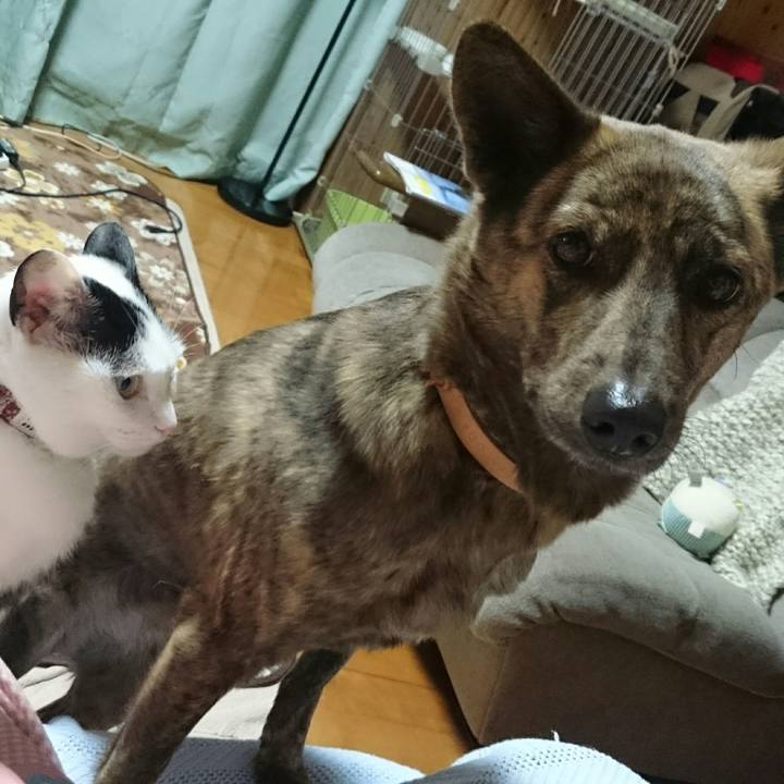 Ad3b9dc6 5605 461e b3ed 8524b156e0ea