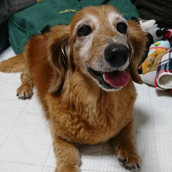 Ad3ba9eb 0d83 4e78 af2b 44116f80084c