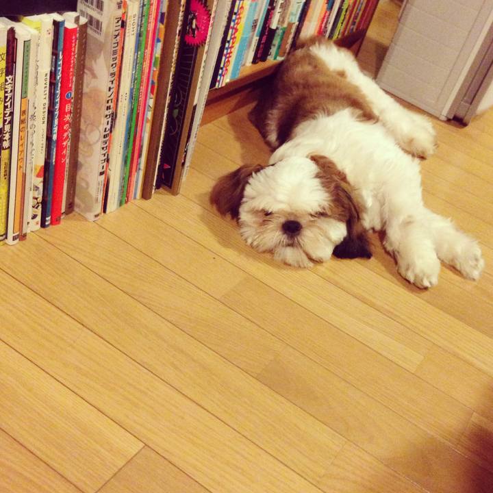 Ad3c2756 d164 4e58 ab7e 2fdc0c9a96e9