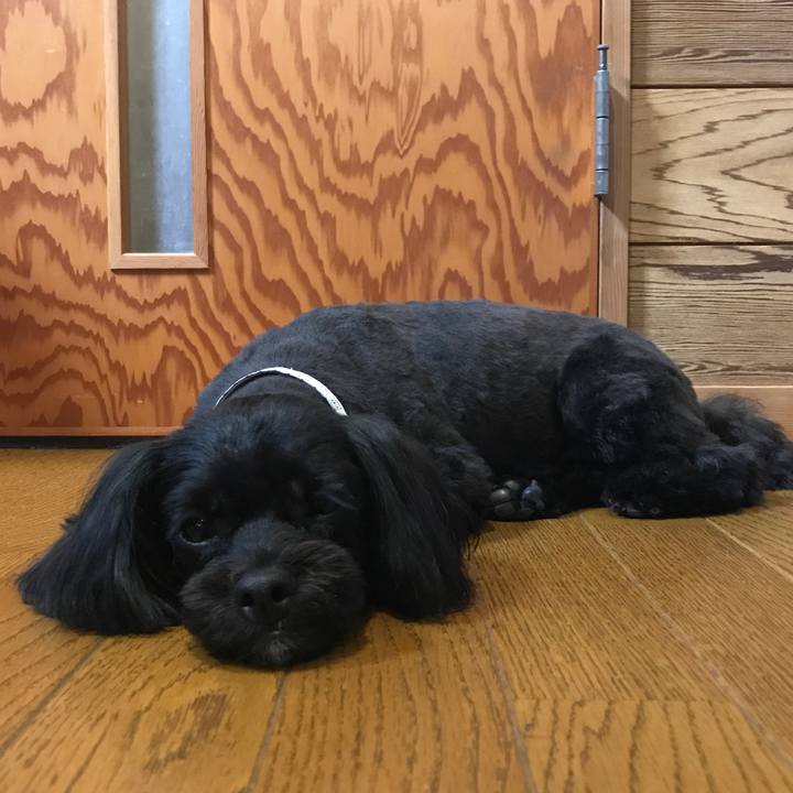 Ad3c799f 33fe 4d29 b06e d2a458008981