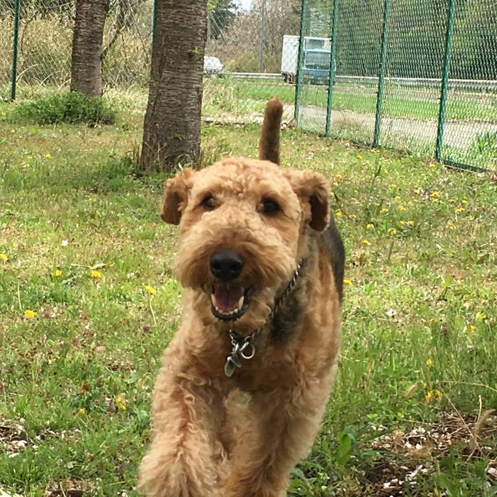 Ad3cae0e 5416 4d84 89a3 d0331a0b3113