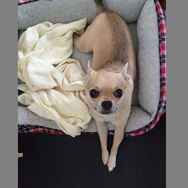 Ad3cfb46 087c 48cf 8067 a2f4e5e4453f