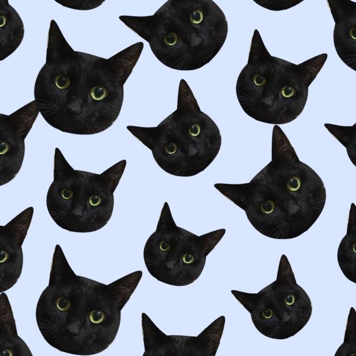 Ad3daefe 130d 45b1 8a73 dcfdc58f6295