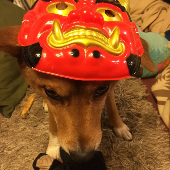 Ad3e1002 809f 4802 bb99 fa78dd328a28