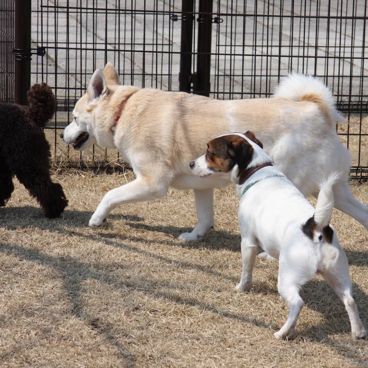 Ad3e8a9b 836c 48c4 9771 f2e7ec27241e