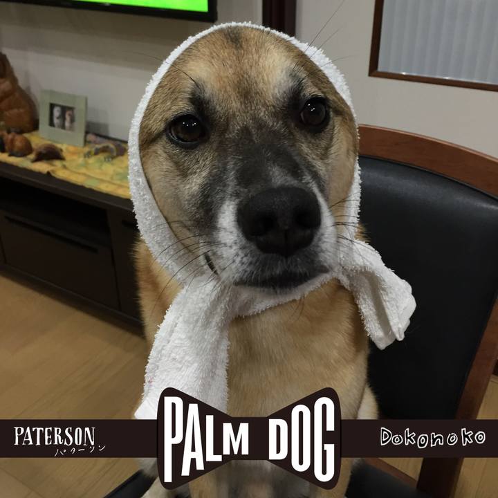 Ad3ed093 7478 4bb2 8246 a1e05e89594e