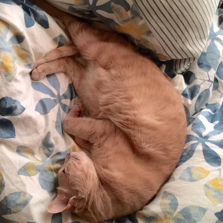 Ad3edfb7 a9c5 441d 9da5 28c176e28b90