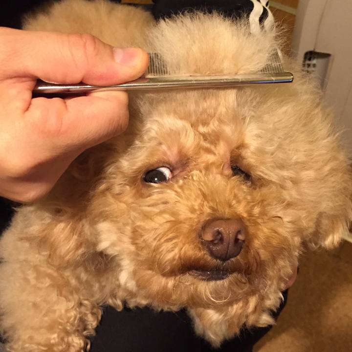 Ad3f0a98 69df 4482 bce2 8335838e5669