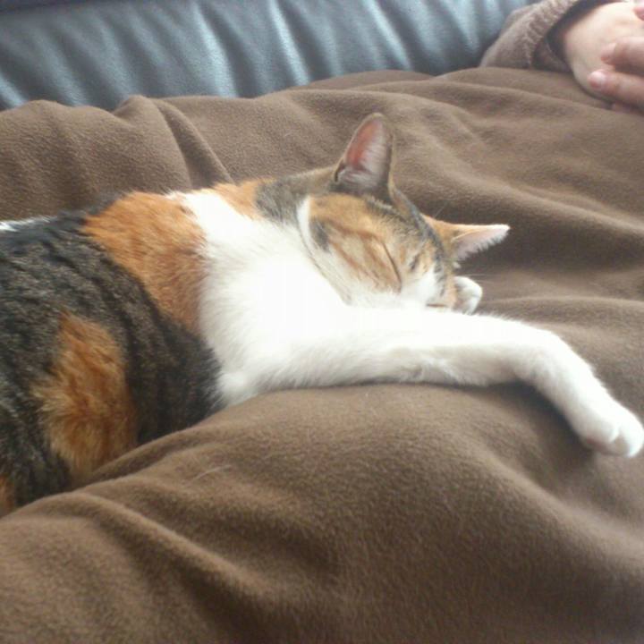 Ad3f37cb 3470 437a 935c 101577c78433