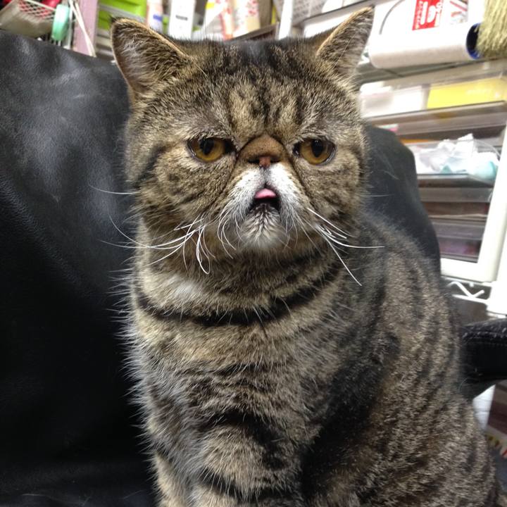 Ad3f4694 b2ce 4d52 8a4b f8170b94a916