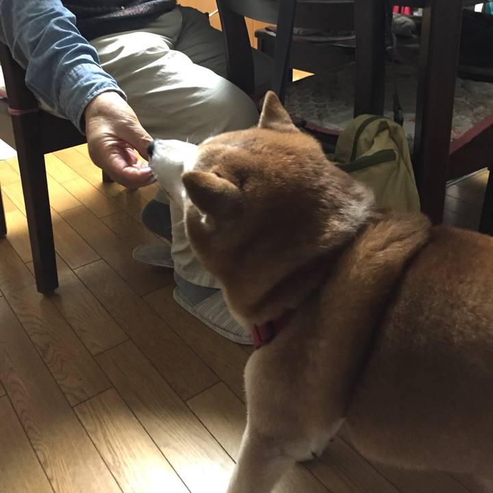 Ad3fb8e0 4a82 40a4 8bca d74ff179d9e6