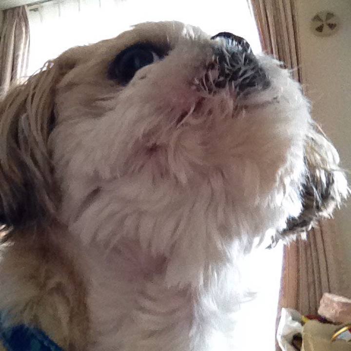 Ad4115d2 6704 4c82 baf5 6722111c6e0b