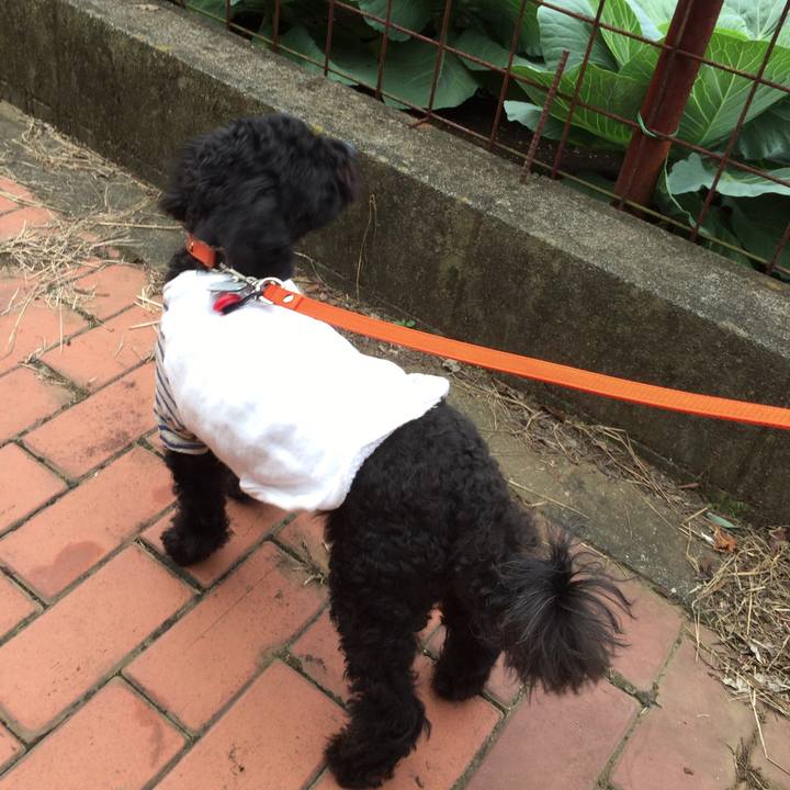 Ad411834 0b8b 40f5 baef bbd2ded8c322