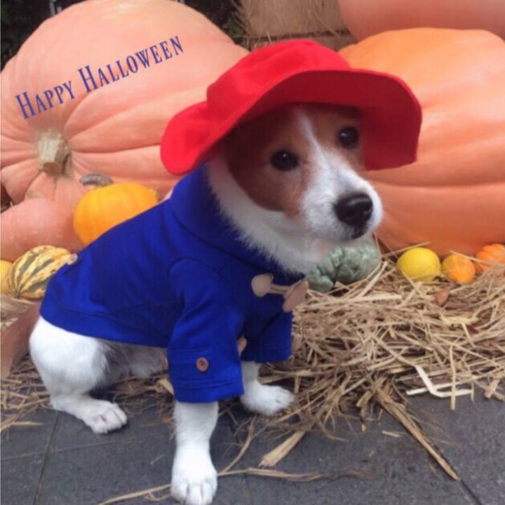 Ad41693f f3b4 473b 939f fada23290049