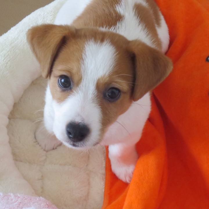 Ad41a08d e8a4 474e 8ee9 0b83aa16b010