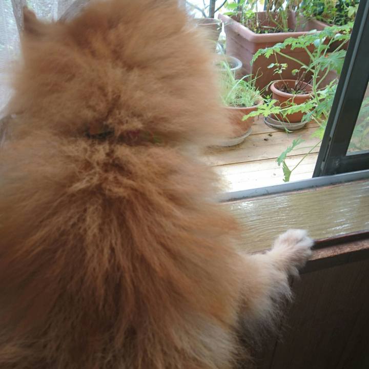 Ad41dd3b 1733 462d b222 59cf4a105d74