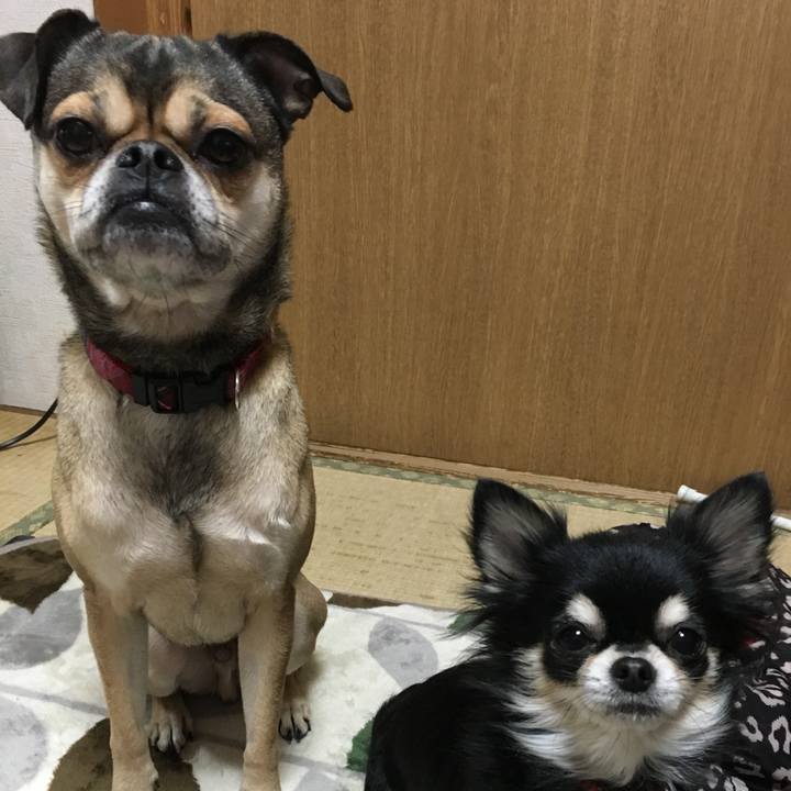 Ad4298b8 3dc6 407d a2de 20de54e71913