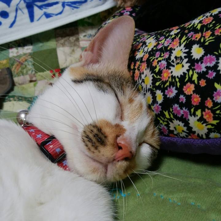 Ad4300d0 dc87 4275 8143 d4b604ca423c