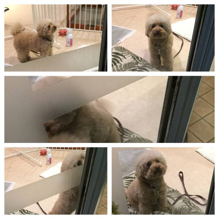 Ad4328c7 7e6a 4ca2 82ad 9c6d8806c994