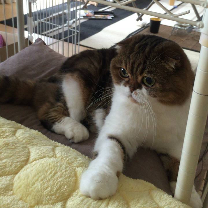 Ad435eee ab4b 40ce 8e45 bb3422215718