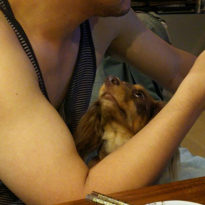 Ad43abea cff5 473f 8ffd 913233d7394b