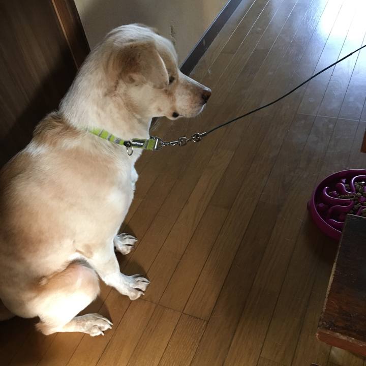 Ad43c5c7 1e77 42f0 a781 9ea125103949