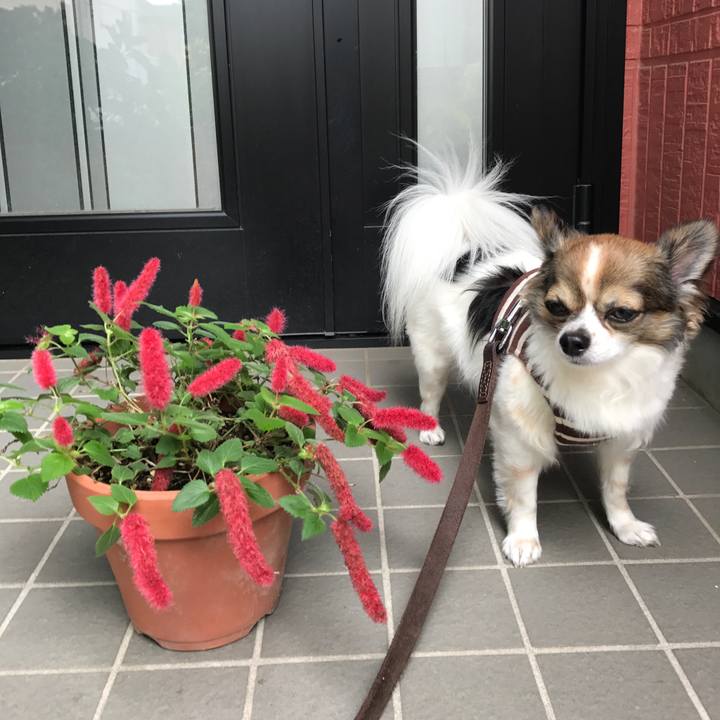 Ad43fc61 8027 433a abb5 78265cfe1f44