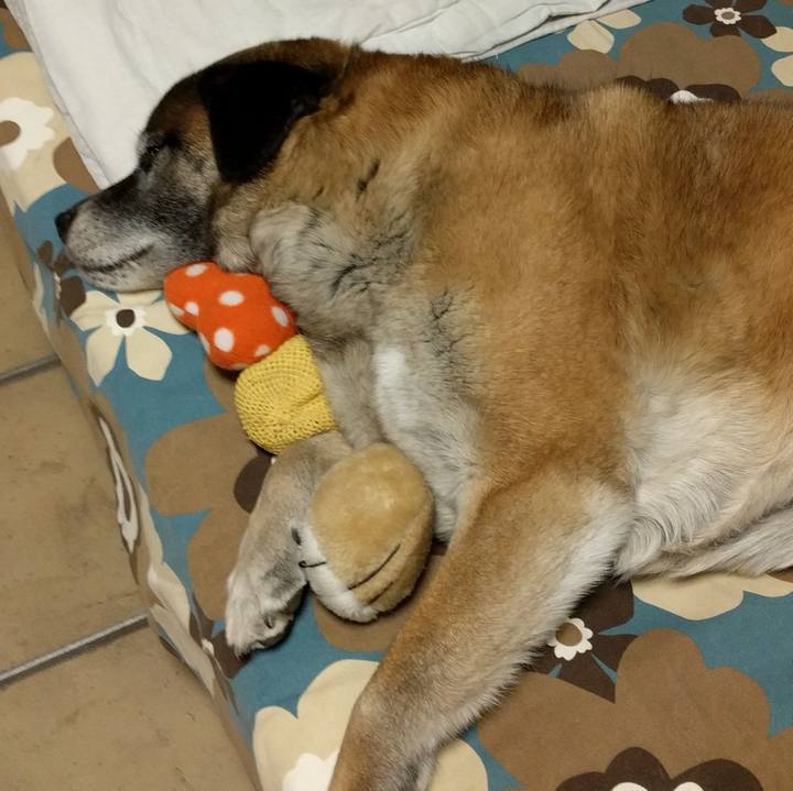 Ad446ab3 afbc 4711 abd5 0c7da8b87aee