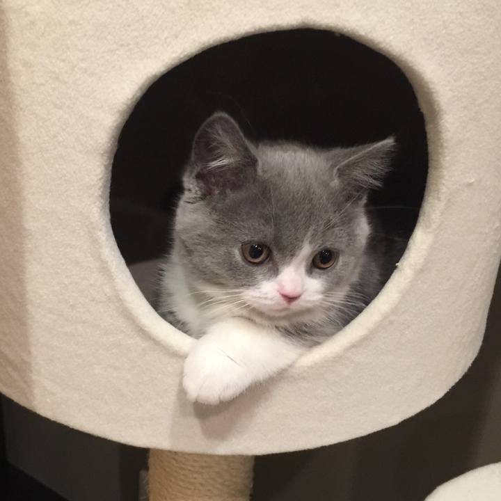 Ad459269 27a7 46ef a09a 901df3ebdb3f