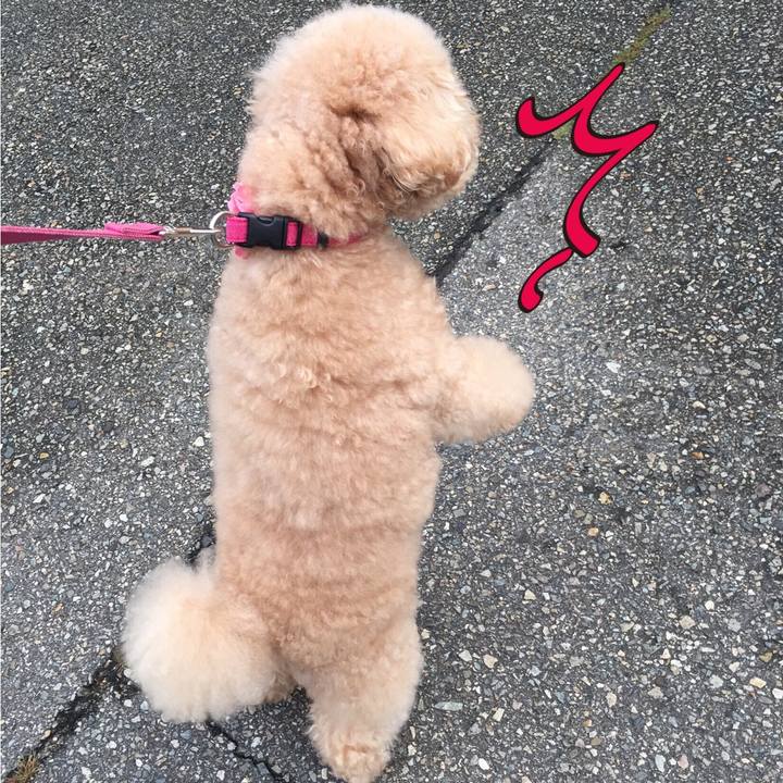 Ad45cc90 9bad 4724 b97f e79365b38be5