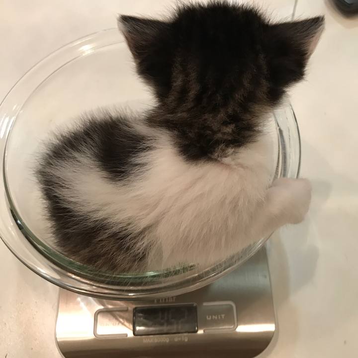 Ad464866 d209 451f ad83 452566b5476e