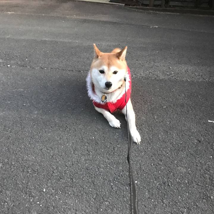 Ad46a035 fb72 4d2e 87e3 d706b96d97ea