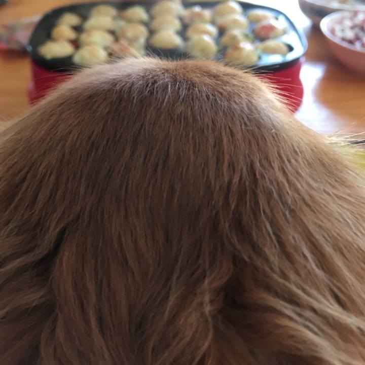 Ad46a50e f627 464e bf7e fb69b4d668f8