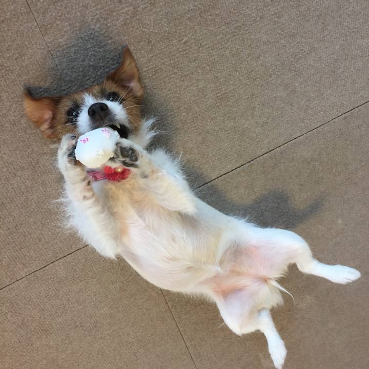 Ad47176c 23f5 498f 8bb0 396e68375483