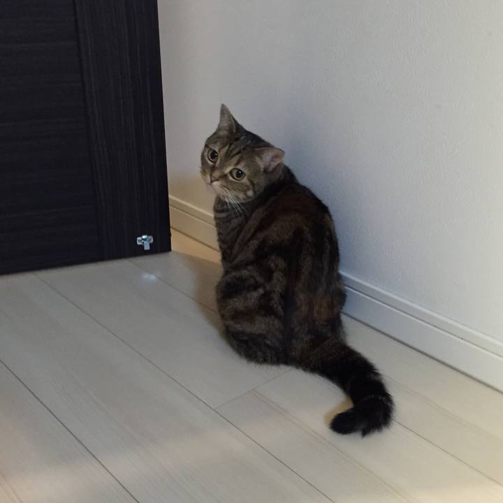 Ad47789b 22a5 4c68 8656 c9db15539a40