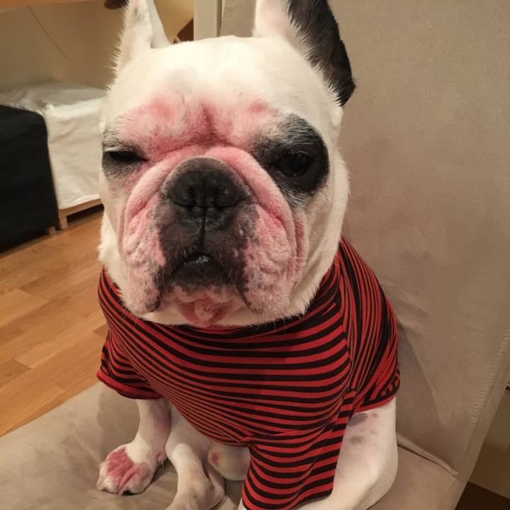 Ad47a8b0 0f81 4e84 8230 fe5caa91e698