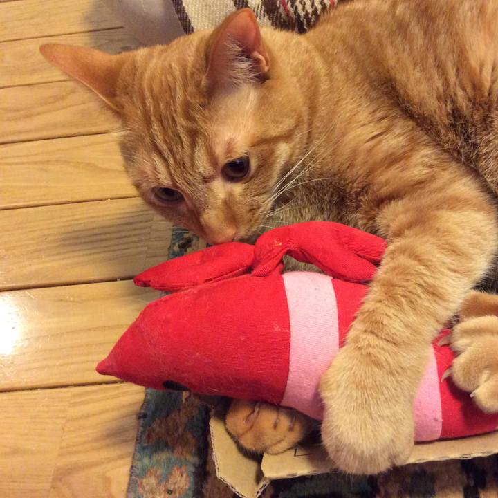 Ad47ae26 18fe 4e36 9282 6899acd75ae3