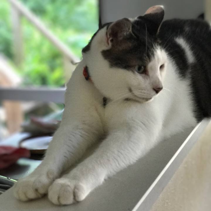 Ad47ba30 18cd 4b8a a0a1 f027e999a057