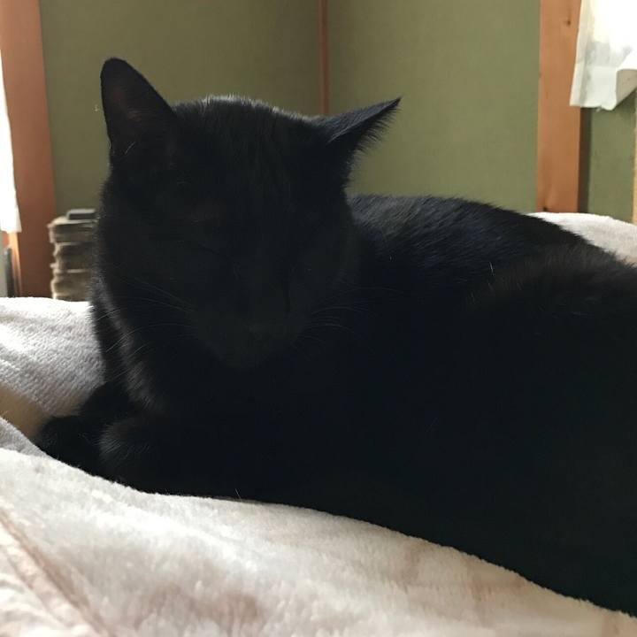 Ad4864e1 ce24 4e80 b82e 060d56b9f196