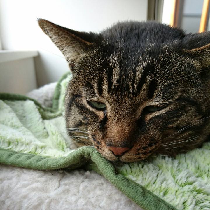 Ad48bb50 67c3 44a8 9368 255abce8e19a