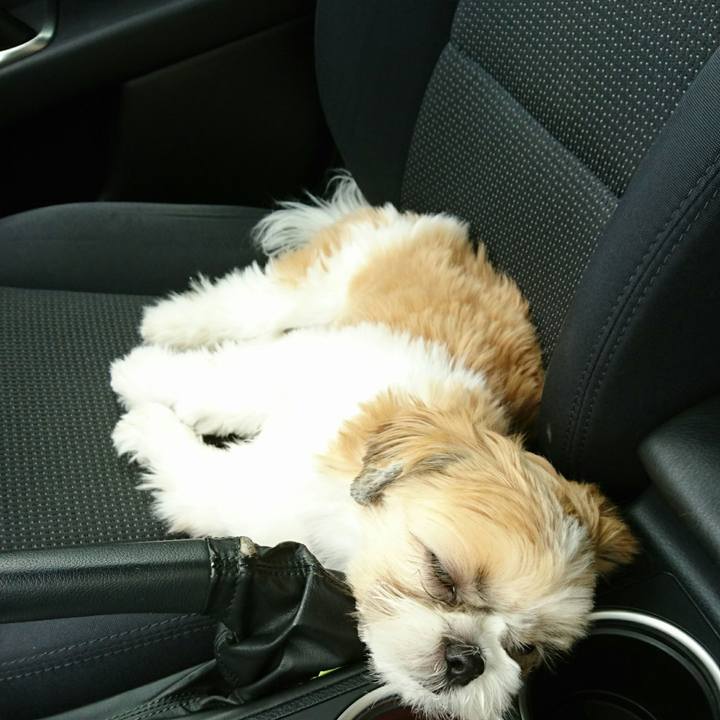 Ad48ff7c 2b89 4b36 8531 31c18e09cab8