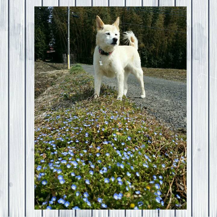 Ad49c889 8981 47ec 9354 922c561acc6b