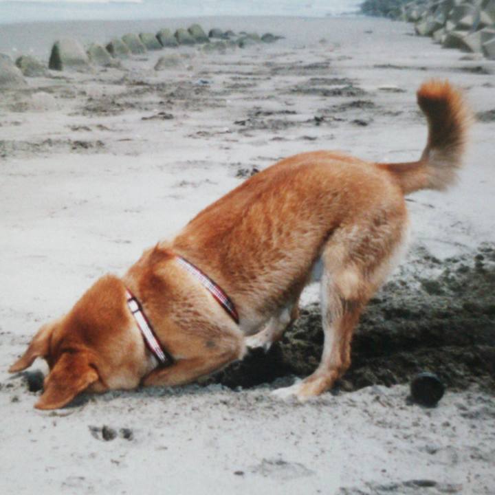 Ad4a6c5f ecde 49d0 b3af e45fd1123bf9