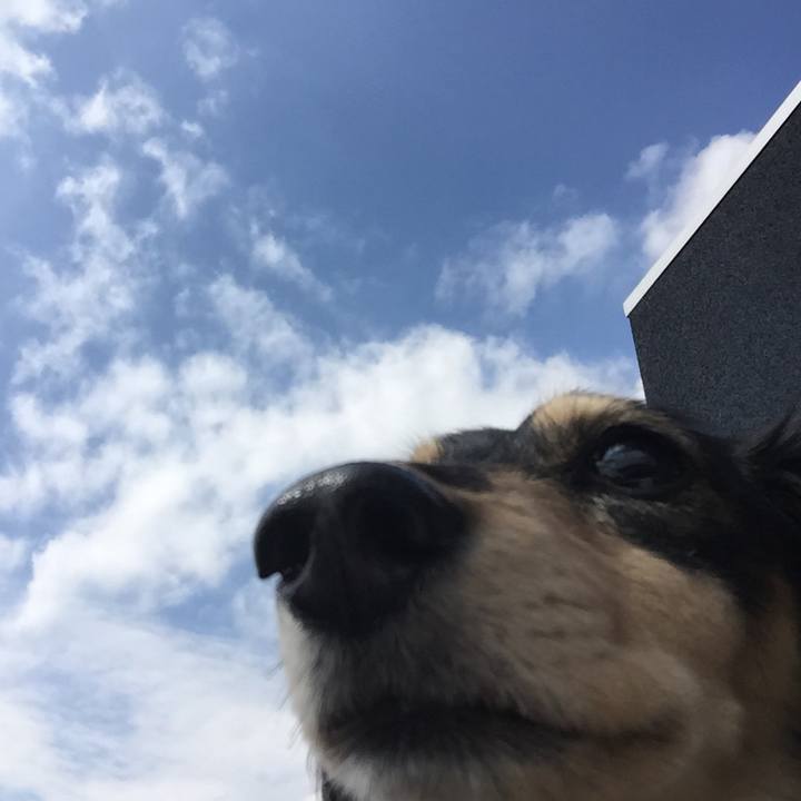 Ad4a777a 3cdf 4304 85dc 281c183e4807