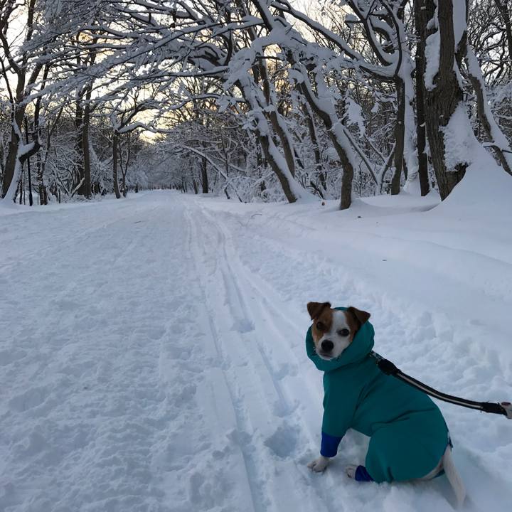 Ad4b8830 d1f4 4f69 964f 41e95d1c5176