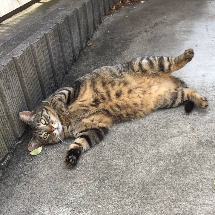 Ad4bf9d0 6408 4a37 a201 6053c85ac5e5