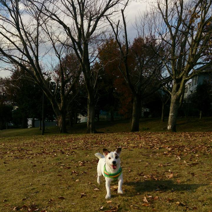 Ad4cad2b db06 4577 bdca 38eb4fad5e3c