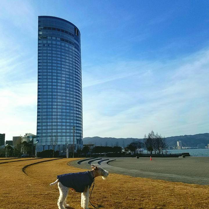 Ad4cd506 8032 469f a90b 0e651dcf521f