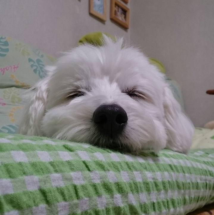 Ad4d7ed1 8598 4ff1 bbfd c3ab01e8c4e9