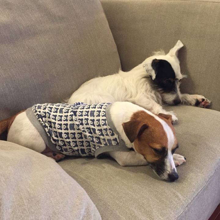 Ad4dcf34 bb96 414e 9df5 e12518cdfe0d